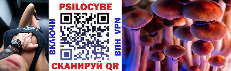 где продают   Лесозаводск  Галлюциногенные грибы Psilocybine cubensis 